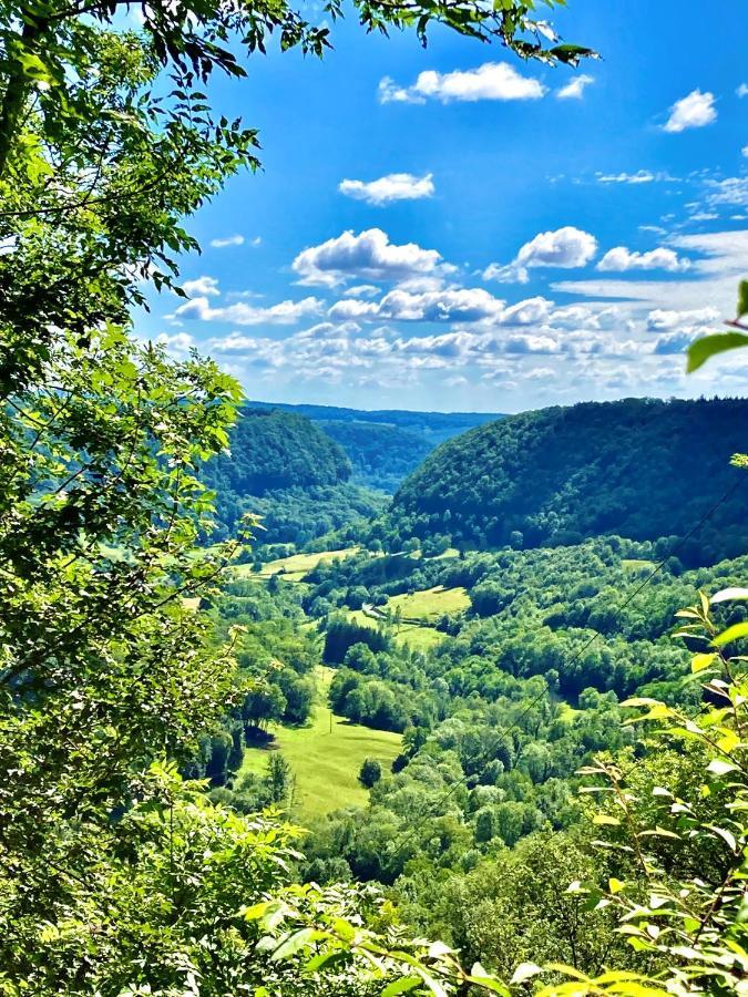 Gite Des Reculees Ladoye-sur-Seille Екстер'єр фото