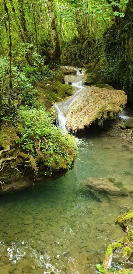 Gite Des Reculees Ladoye-sur-Seille Екстер'єр фото